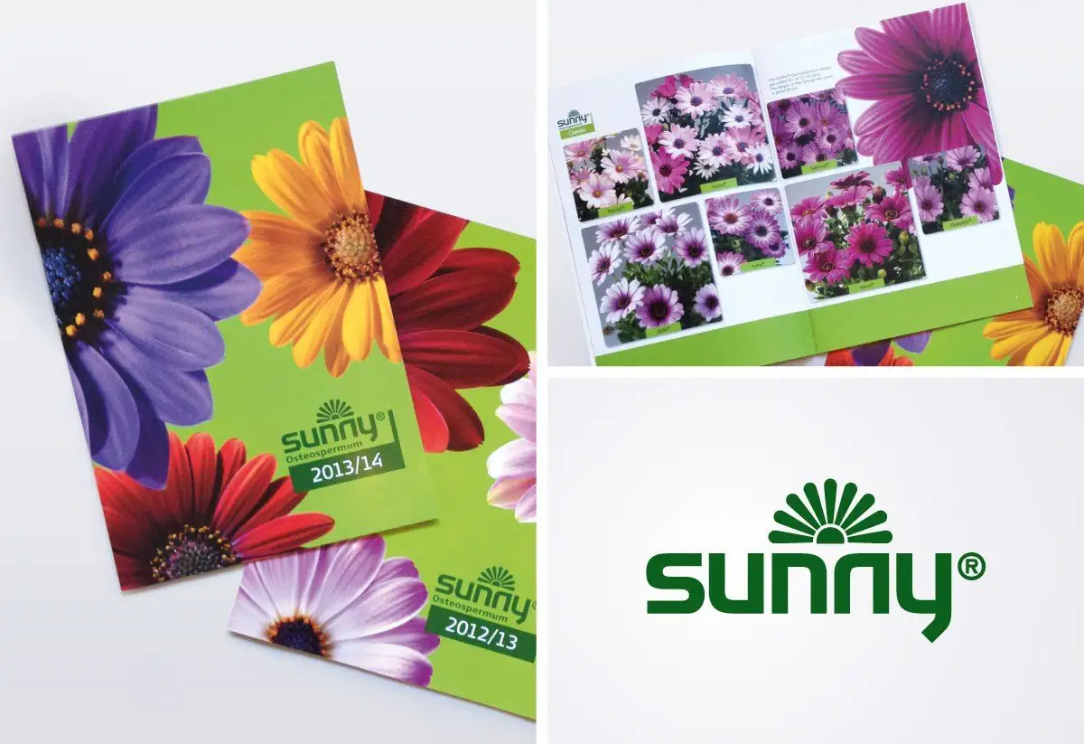 Cases Sunny 2 - Clockwork Reklamebureau