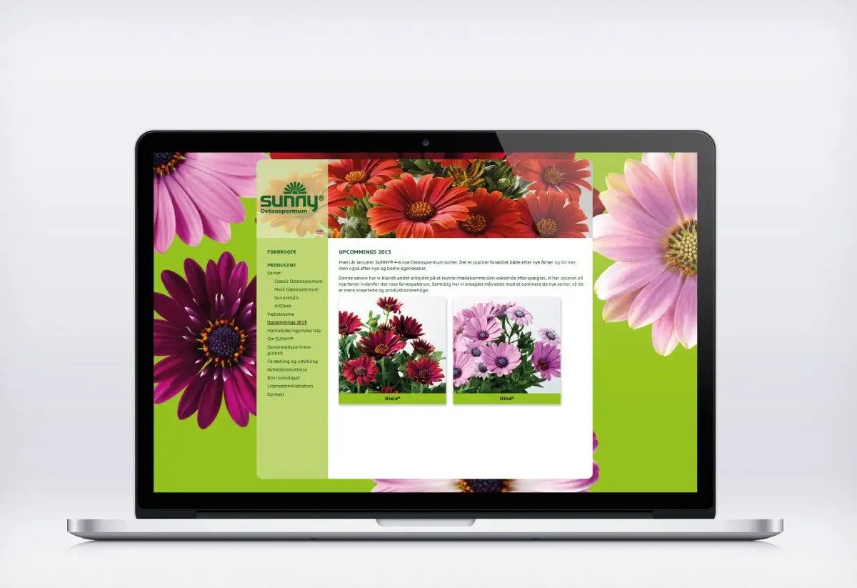 Cases Sunny 3 - Clockwork Reklamebureau