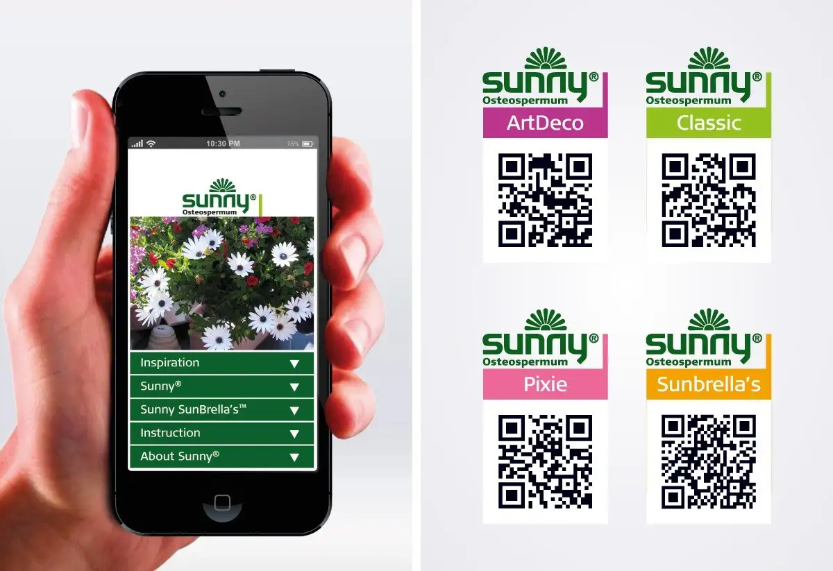 Cases Sunny 4 - Clockwork Reklamebureau